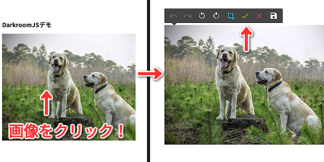darkroom-js-4