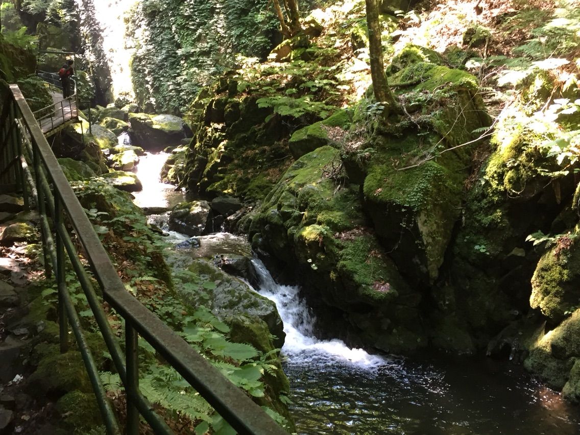 山乗渓谷でそうめん流し カエティ 箱入りゲーマー夫婦