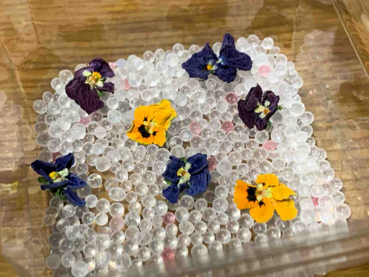 大雑把で失敗 カエティ 箱入りゲーマー夫婦 大雑把で失敗 カエティ 箱入りゲーマー夫婦