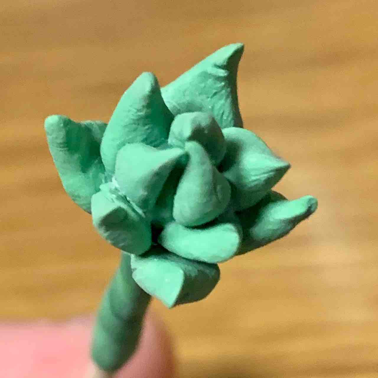 樹脂粘土で多肉植物 カエティ 箱入りゲーマー夫婦