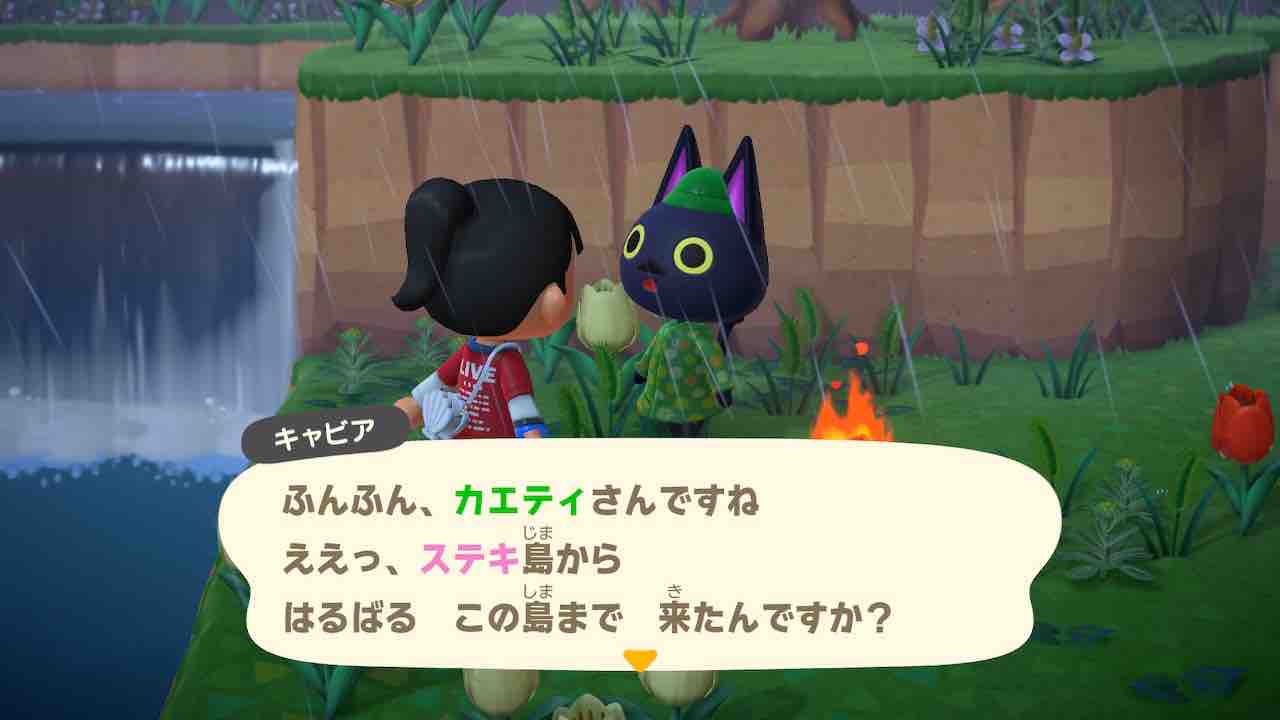 かわいい子たち あつ森日記 カエティ 箱入りゲーマー夫婦 かわいい子たち あつ森日記 カエティ 箱入りゲーマー夫婦
