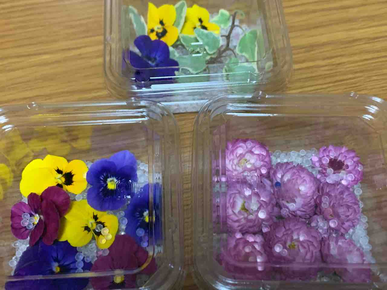 大雑把で失敗 カエティ 箱入りゲーマー夫婦 大雑把で失敗 カエティ 箱入りゲーマー夫婦