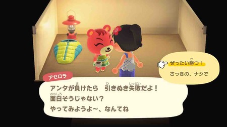 かわいい子たち あつ森日記 カエティ 箱入りゲーマー夫婦 かわいい子たち あつ森日記 カエティ 箱入りゲーマー夫婦