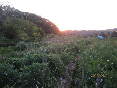 20210420 (2)