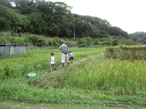 20200926修繕会 (7)