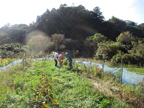 20201128修繕会 (1)