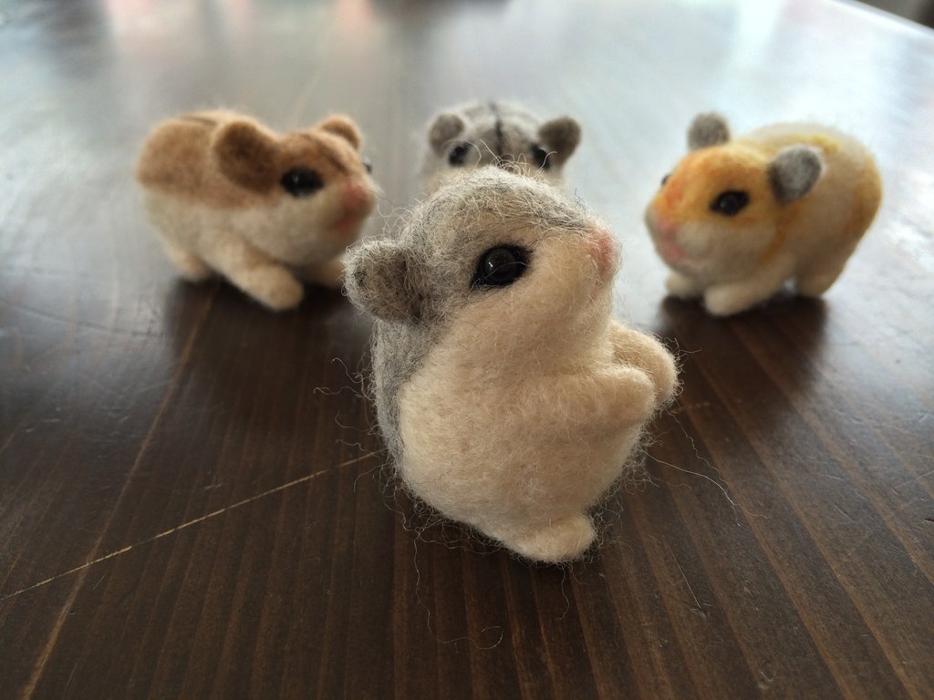 6 23リフォーム祭 ｗｏｒｋｓｈｏｐ 羊毛フェルト Renovation De Go