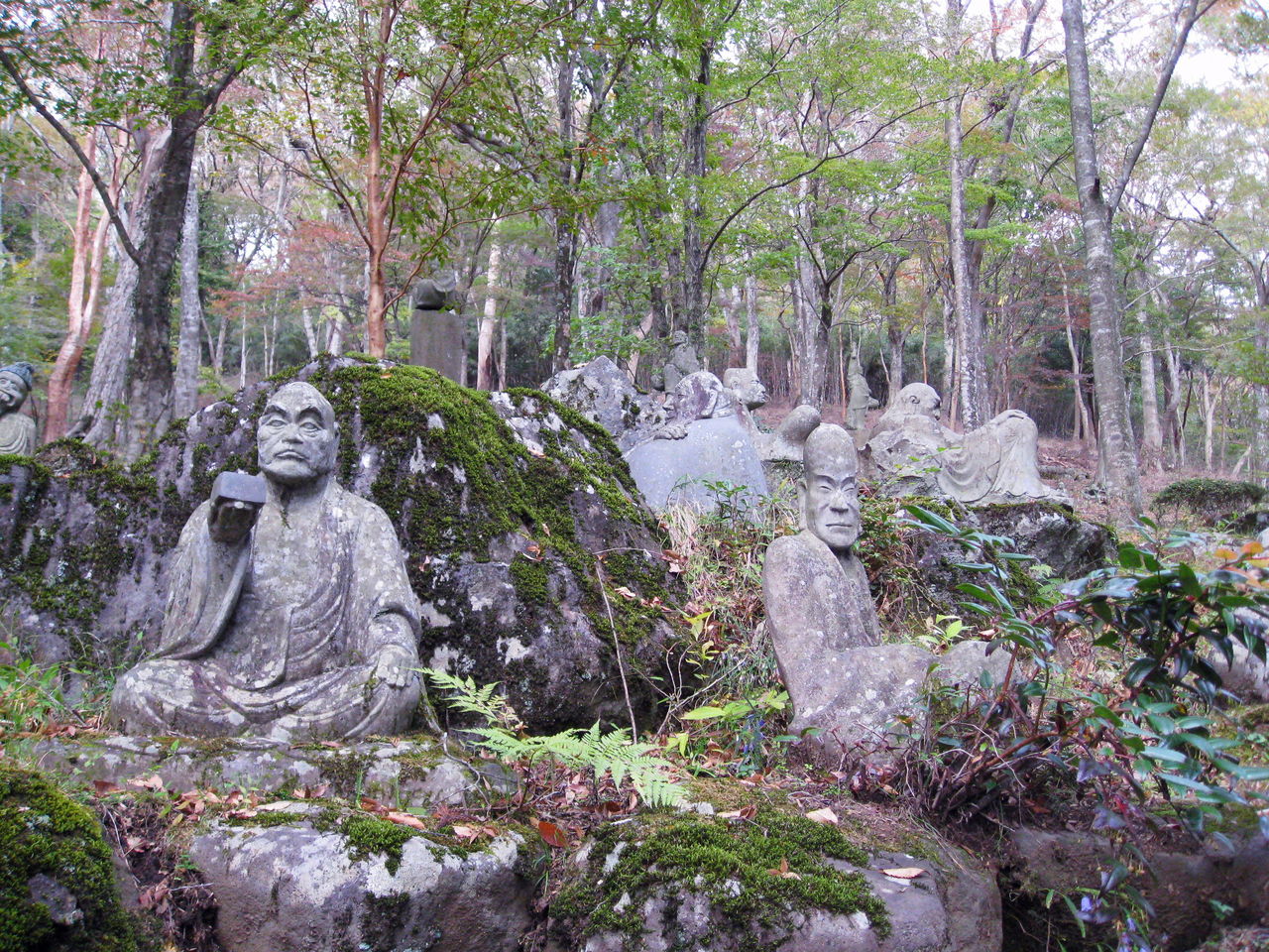 箱根長安寺 箱根湿生花園の11最新紅葉情報です 秦野しぶさわ地区情報ネット 箱根長安寺 箱根湿生花園の11最新紅葉情報です 秦野しぶさわ地区情報ネット
