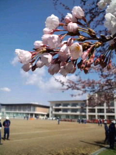 晴天の日曜日