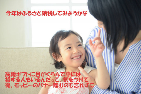 ふるさと納税