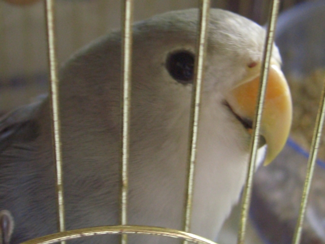 今日は ンコ ｊ ｂｌｏｇ