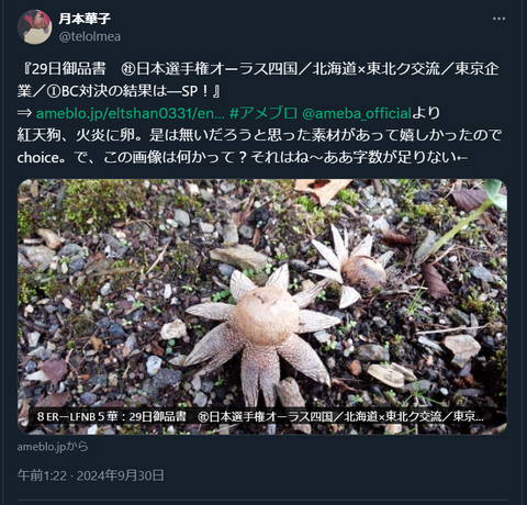 20240930 本宅更新お知らせ用