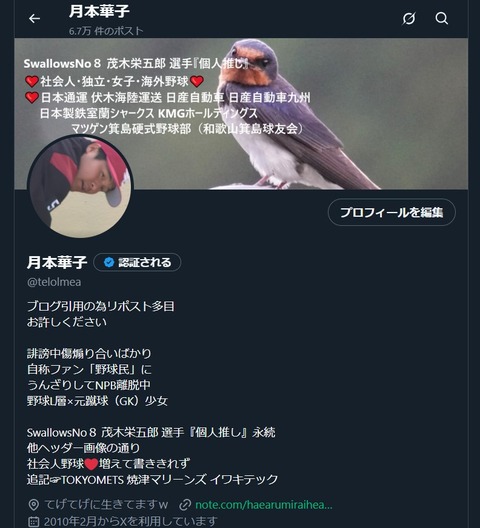 20250703Ｘtop用「カメラ目線のツバメ」こっちに文字入れてみた。