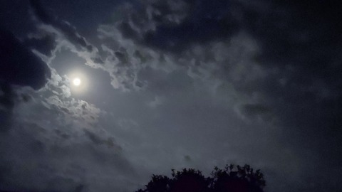 20230907 月に叢雲　これもセンスええな…