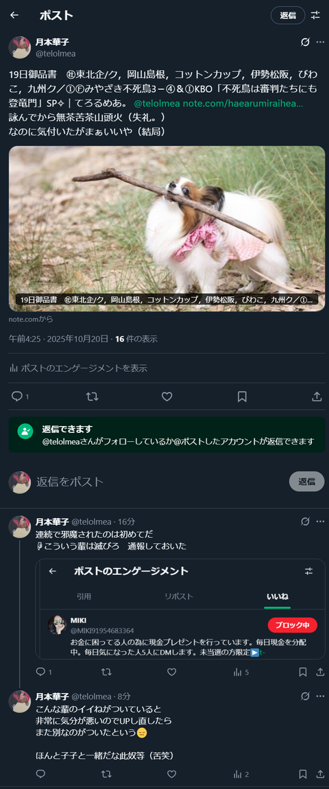 20251020 こういう奴。