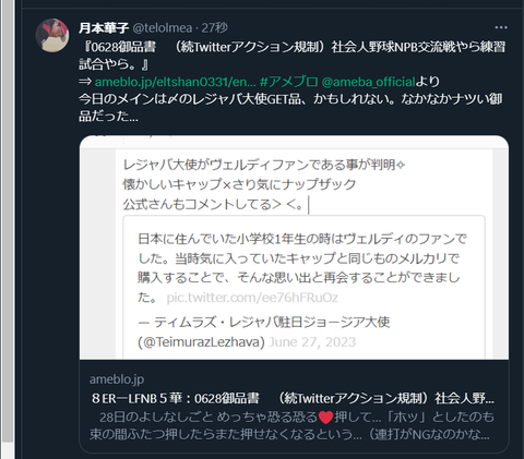 20230629 更新お知らせ用✧