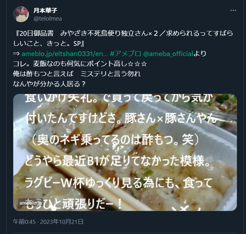 20231021 本宅更新お知らせ用