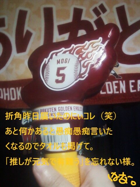 20210529　折角昨日届いたコレ（笑）