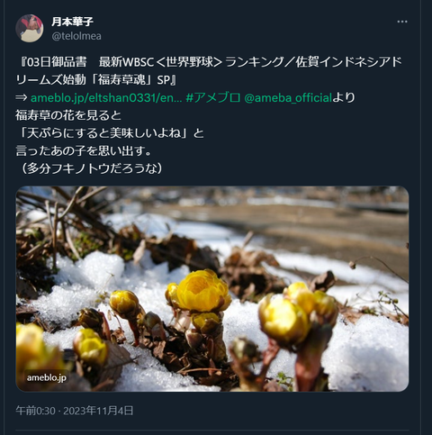 20231104 本宅更新お知らせ用