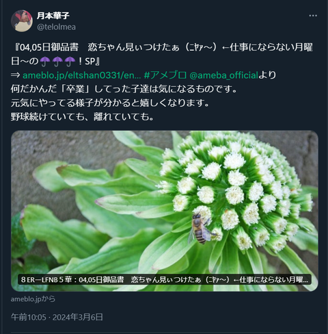 20240306 本宅更新お知らせ用