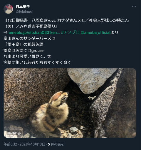 20231013 本宅更新お知らせ用