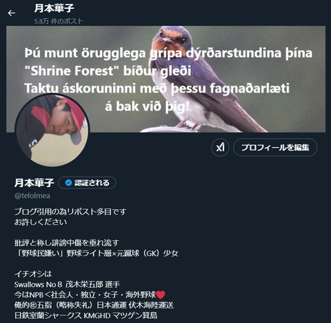 20250125 新Xヘッダー「ツバメ画像×燕応援歌氷語訳Vr」