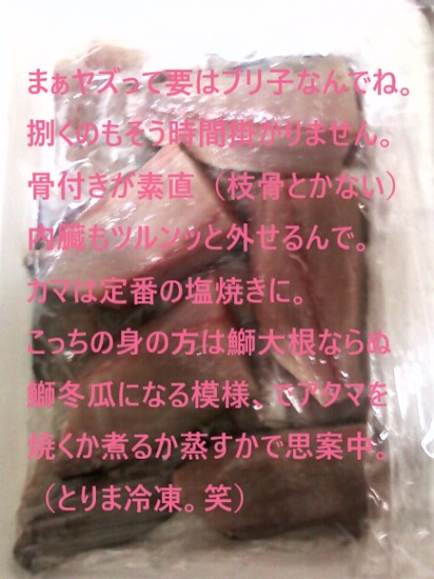 20191105 やずサン捌きました②ｗ