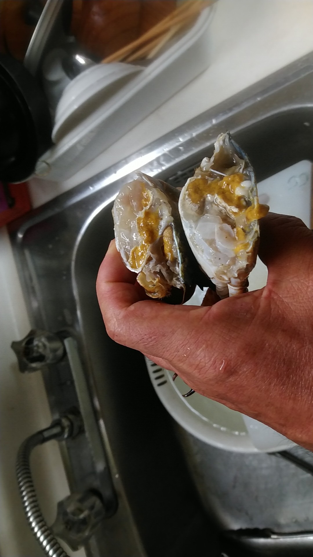 イシガニ食った いいたいほうだい イシガニ食った いいたいほうだい