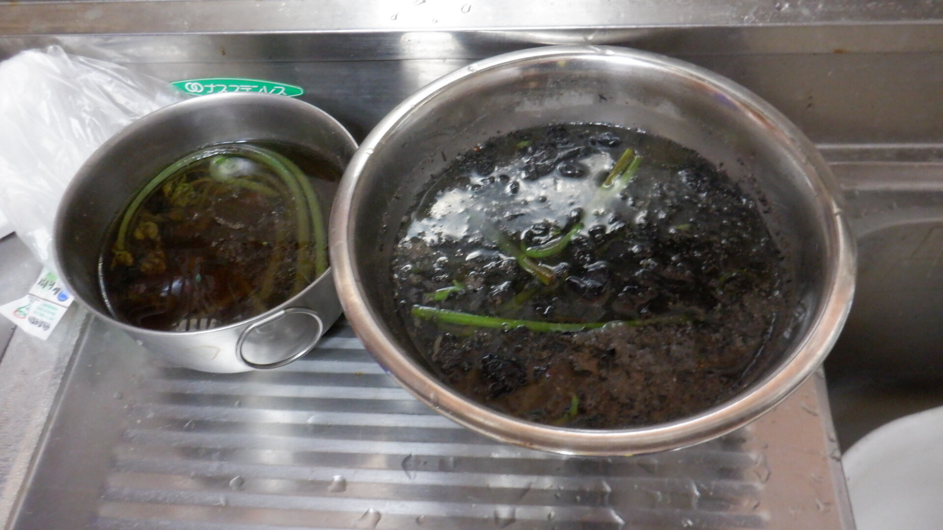 山菜採り いいたいほうだい