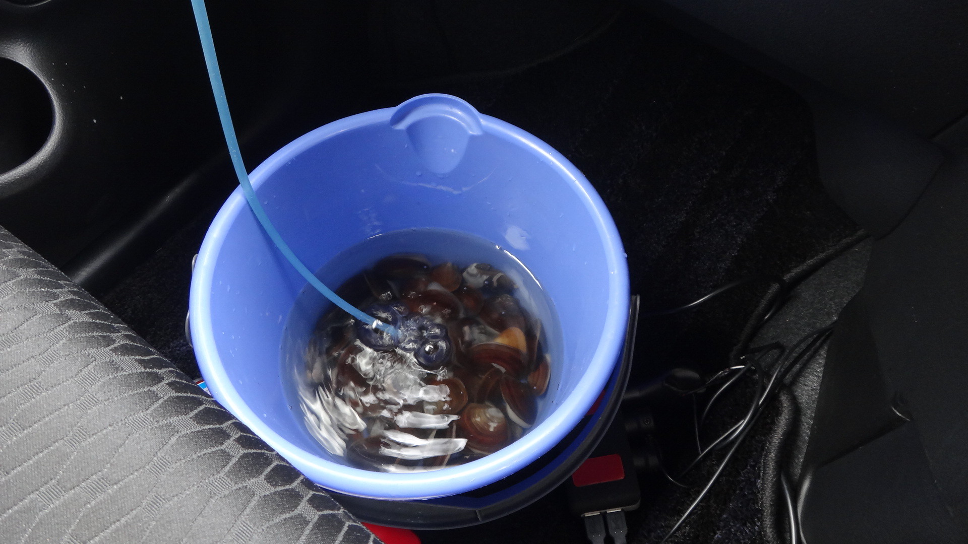 電子決済の泥沼に落ちてゆく 4 スーパーセンターレオ いいたいほうだい 電子決済の泥沼に落ちてゆく 4 スーパーセンターレオ いいたいほうだい