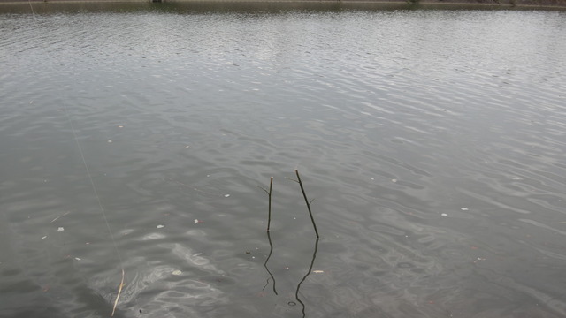 DSC04077