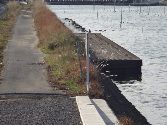 DSC09487