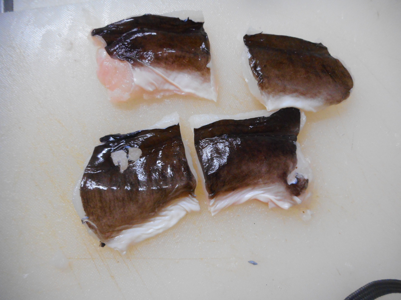 クロアナゴ食ってみた 天ぷらと蒲焼 いいたいほうだい