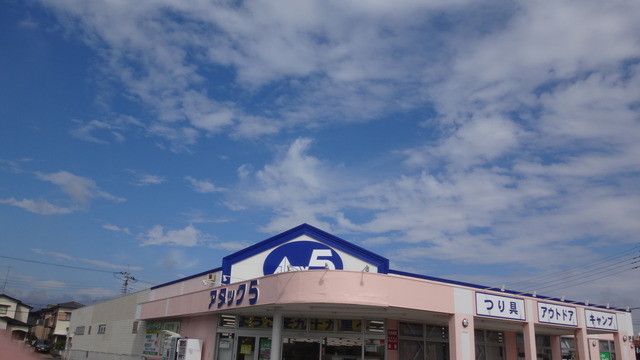 DSC03983