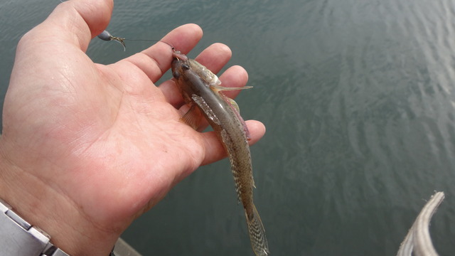 DSC04005