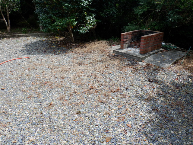 DSCF7247