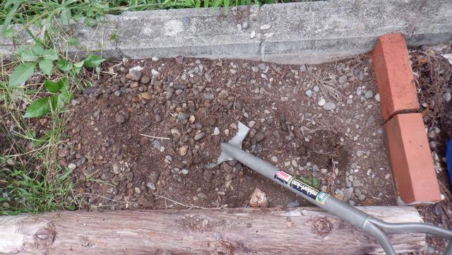 DSCF8401