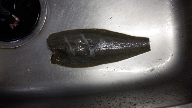 DSCF8380