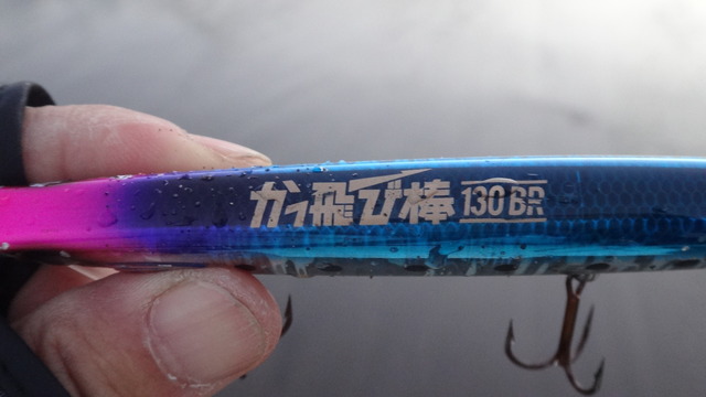 DSC05799