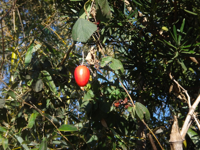 DSC09301
