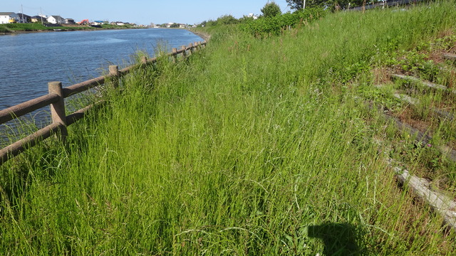 DSC03047