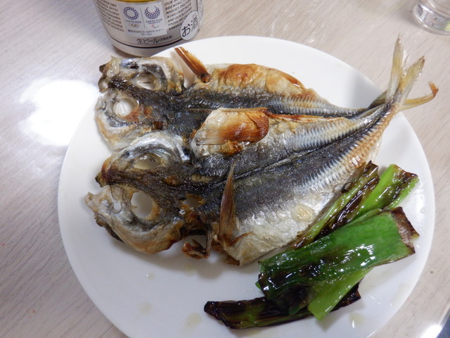 DSCF3591