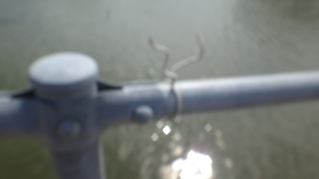 DSC00502