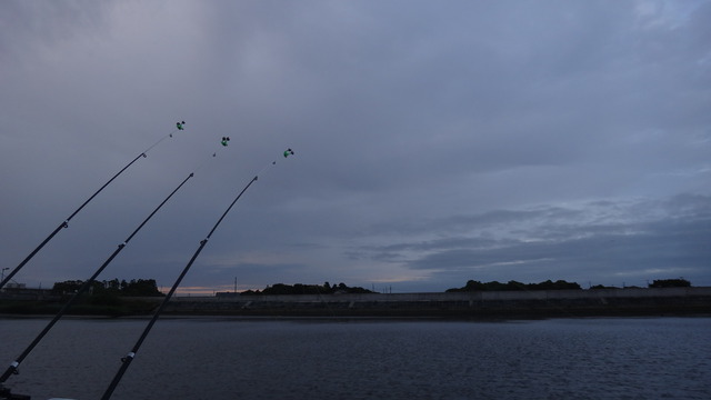 DSC03616