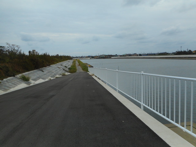 DSCN4607