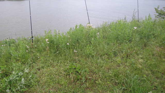 DSC02664