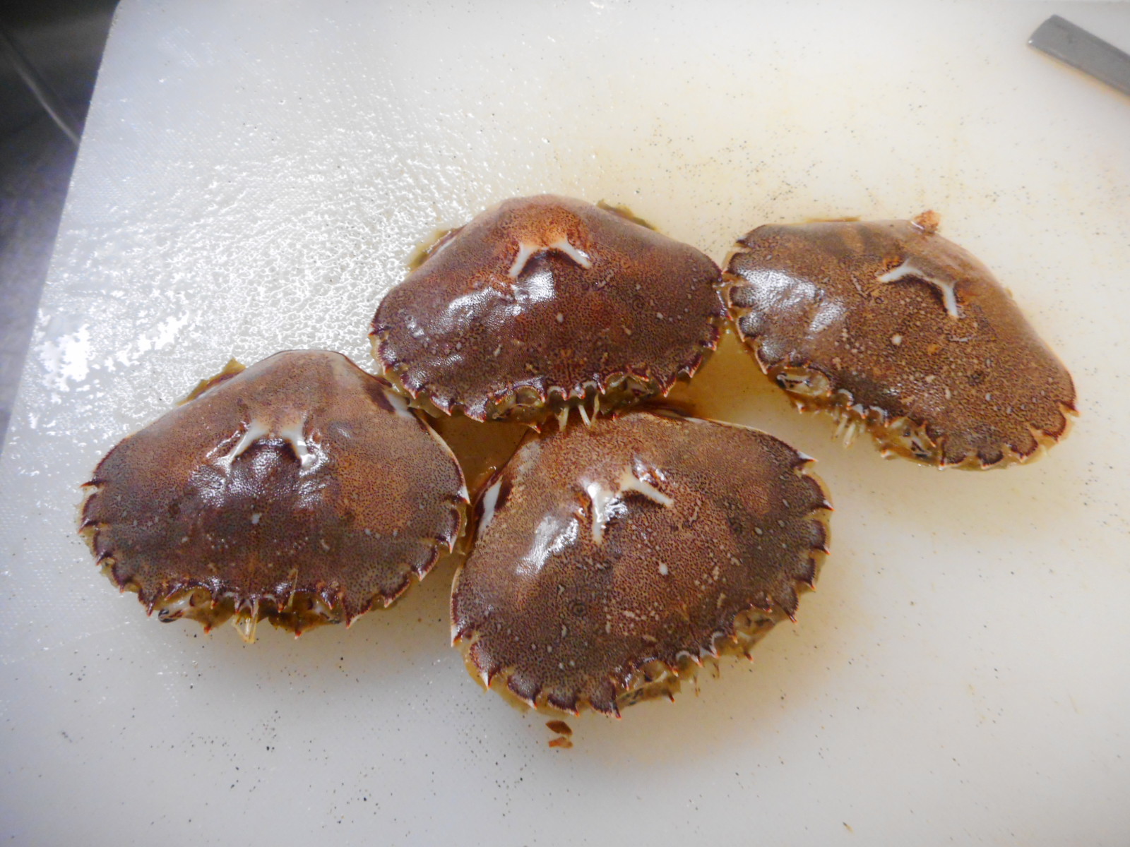 絶品 ヒラツメカニの甲羅酒 いいたいほうだい 絶品 ヒラツメカニの甲羅酒 いいたいほうだい