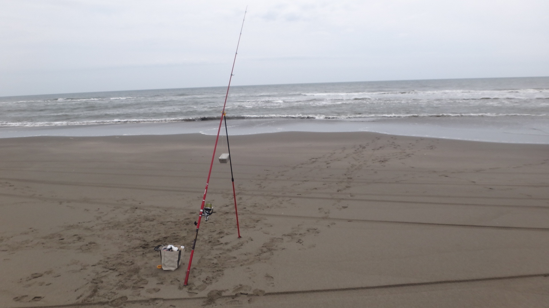 シログチが釣れたよ イシモチ 愚痴ともいうよ いいたいほうだい