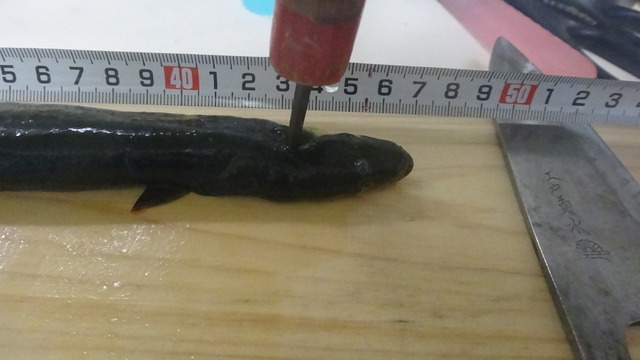 DSC02606