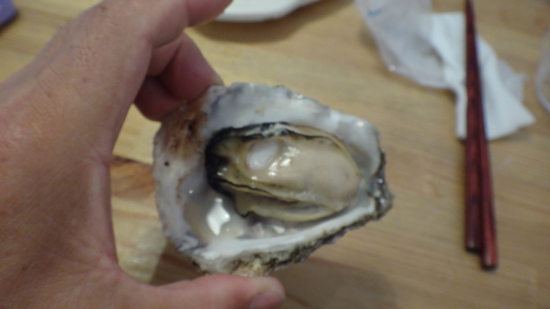 食べログ 宮島のカキフライと焼牡蠣はいまひとつだったなぁ いいたいほうだい